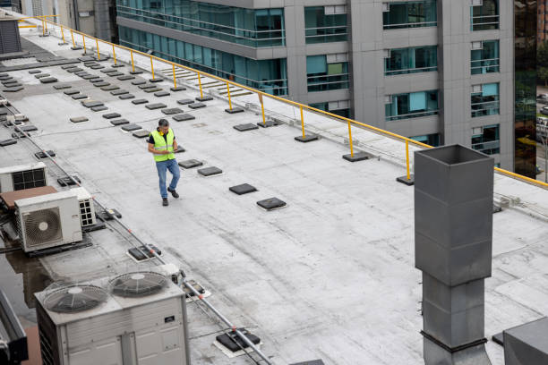 Best Asphalt Shingle Roofing  in South Williamsport, PA