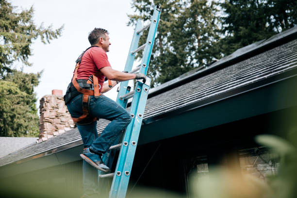Best Rubber Roofing (EPDM, TPO)  in South Williamsport, PA