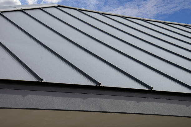 Best Flat Roofing  in South Williamsport, PA