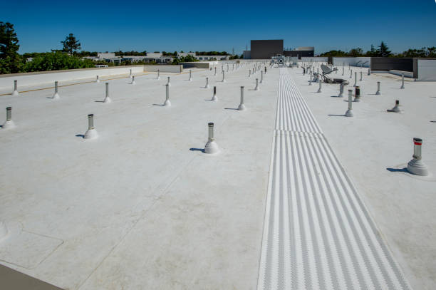 Best Roof Leak Repair  in South Williamsport, PA